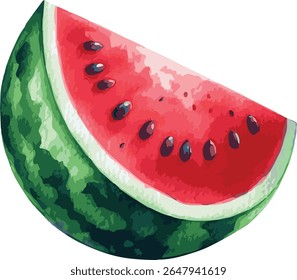 Vector watercolor painted illustration of a watermelon
