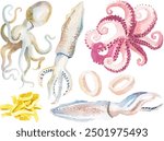 Vector watercolor painted octopus and squid. Hand drawn elements isolated on white background.