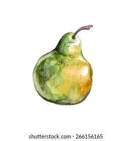 vector watercolor pear. It can be used for menu, card, poster, recipe.