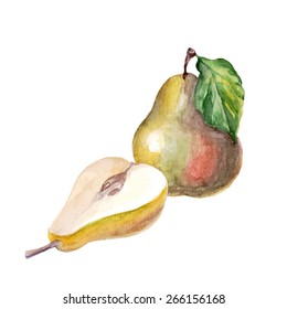 vector watercolor pear. It can be used for menu, card, poster, recipe.