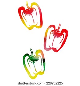 vector watercolor pepper paprika
