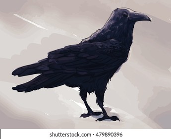 Vector watercolor picture of raven