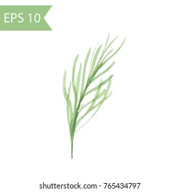Vector watercolor pine branch. Simple illustration of green branch with needles isolated on white background.
