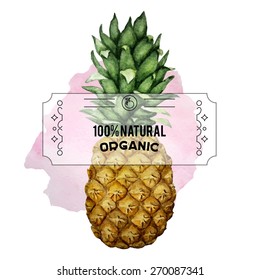 Vector watercolor pineapple with transparent banner on watercolor splash. EPS 10. 