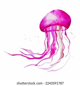 Vector watercolor pink jellyfish for postcard creation.