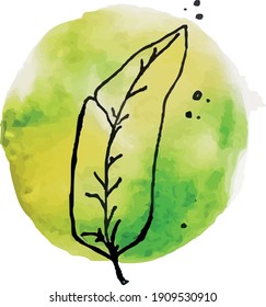 Vektorwasserfarbe, Pflanze in einem Kreis. Batanic Illustrationen, zum Bedrucken auf Papier, Postkarten, Stoff