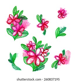 vector watercolor plumeria / frangipani color arrangements. small corsage bouquets isolated on white. 