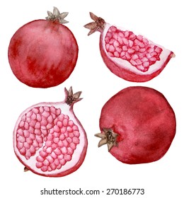 Vector watercolor pomegranate set