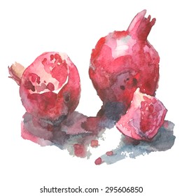 Vector watercolor pomegranates. Hand drawn.