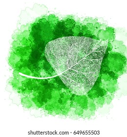 Vector watercolor Poplar Leaf Skeleton - Green and White Illustration