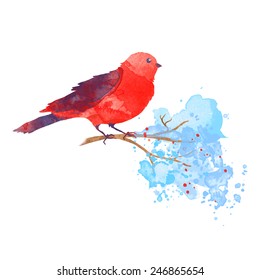 vector watercolor red bird on branch