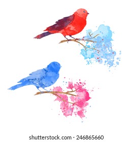 vector watercolor red and blue bird on branch