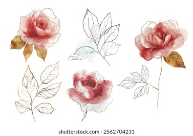 Vector watercolor rose flower, can be used for borders. Spring red rose flower with hollow leaves. Cards, invitations, decorative borders garlands. Wedding, Mother's Day, Valentine's Day, Women's Day