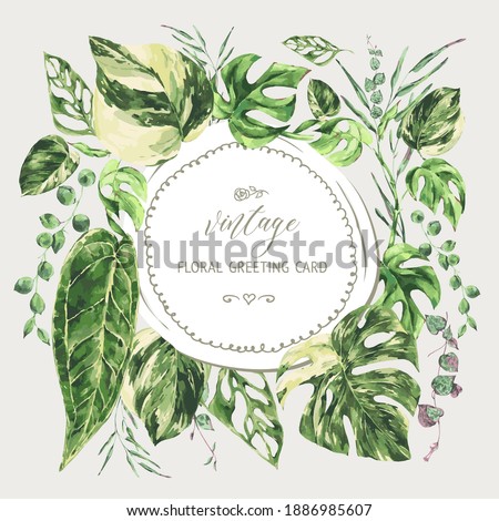 Vector watercolor round frame tropical green leaves. Monstera Variegated greenery illustration, botanical greeting card.
