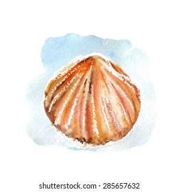 vector watercolor sea shell. It can be used for wallpaper, fabric design, textile design, cover, wrapping paper, banner, card, poster.