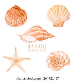 Vector Watercolor Sea Shells. Hand Paint Starfish, Scallop, Shell, Conch, Mollusk. Summer Holidays Design Elements.