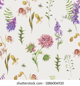 Vector watercolor seamless pattern with summer meadow flowers, wildflowers. Botanical floral greeting card. Medicinal flowers collection