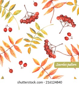 vector watercolor seamless  rowan  pattern. Background, pattern, cover, print, wrapping paper.