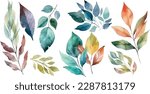 Vector Watercolor set of branches with colorful leaves, for wedding invitations, greetings, wallpapers, fashion, prints. Eucalyptus, olive green leaves.