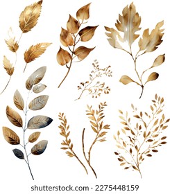 Vector Watercolor set of branches with golden leaves, for wedding invitations, greetings, wallpapers, fashion, prints. Eucalyptus, olive green leaves.