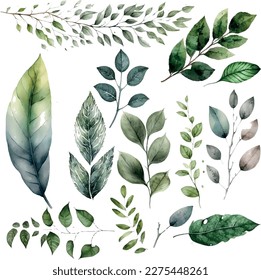 Vector Watercolor set of branches with green leaves, for wedding invitations, greetings, wallpapers, fashion, prints. Eucalyptus, olive green leaves.