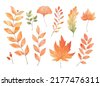 fall leaves watercolor