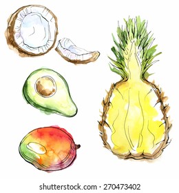 Vector watercolor set of fruits: pineapple, coconut, avocado, mango