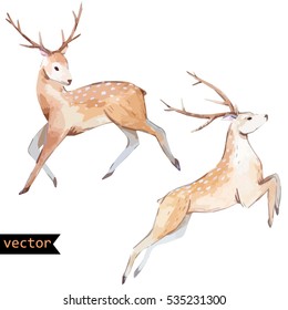 vector watercolor  set illustration of a prancing deer