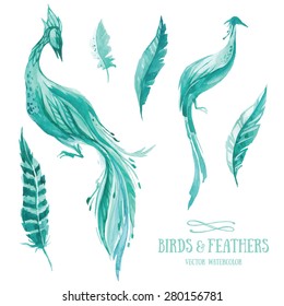 Vector watercolor set of mint birds and feathers. Beautiful tribal boho elements for invitations, patterns, postcards, flyers, web design