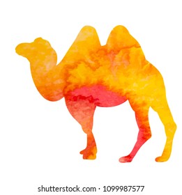vector, watercolor silhouette of a camel
