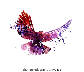 Vector Watercolor Silhouette Dove