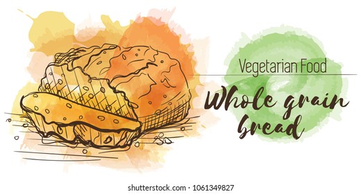 Vector watercolor sketch card of vegetarian food. Eco food. Whole grain bread isolated on white sketch with characteristics.
