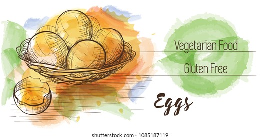 Vector watercolor sketch card of vegetarian food. Eco food. Eggs isolated on white sketch with characteristics.