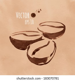Vector watercolor sketch of coffee beans.