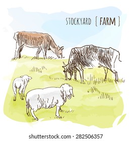 Vector watercolor sketch of grazing cows and sheeps