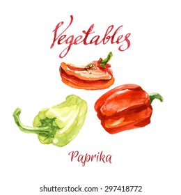 Vector watercolor sketch. Vegetables from a kitchen garden. Paprika.