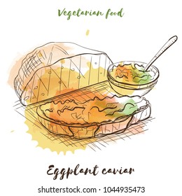 Vector watercolor sketch vegetarian food. Eco food. Eggplant cariar isolated on white sketch.