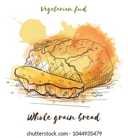 Vector watercolor sketch vegetarian food. Eco food. Whole grain bread isolated on white sketch.