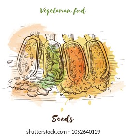 Vector watercolor sketch vegetarian food. Eco food. Seeds isolated on white sketch.