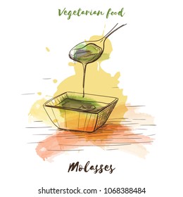 Vector watercolor sketch vegetarian food. Eco food. Molasses isolated on white sketch.