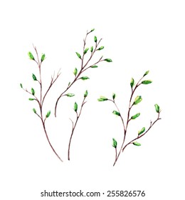 vector watercolor spring branch. It can be used for card, postcard, cover, invitation, wedding card, mothers day card, birthday card, easter card
