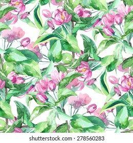 Vector Watercolor. Spring Floral Pattern with Blossom Apple Tree Branches.