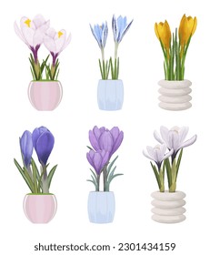 Vektorwasserquelle, bunte Sommerblumen, Blumenkästen in Töpfen.Illustration für Design, Dekoration, verschiedene Ideen, Postkarten, Feiertage.