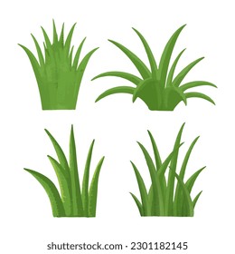 Vector watercolor spring,summer grass bushes.Illustration for design,decor,different ideas,postcards,holidays.