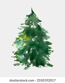 Vector watercolor Spruce Tree Hand drawn Vector illustration Green fluffy pine Isolated design element Christmas, new year celebration, cozy weather concept EPS 10 For packaging, postcard, invitation