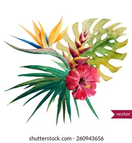 vector, watercolor, Strelitzia,, hibiscus, jungle, palm trees, flowers, composition