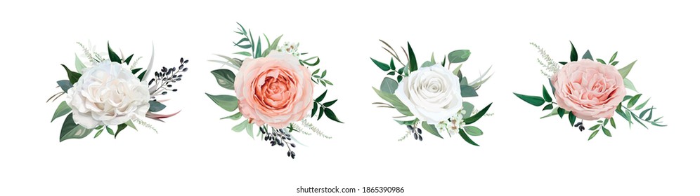 Vector, watercolor style floral bouquet. Blush peach, dusty pink, ivory white Rose flowers, Eucalyptus greenery, berries, tender green leaves, vines. Editable wedding designer element set illustration