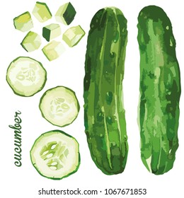 Vector watercolor style illustration of green cucumber vegetable set, sliced and diced with lettering