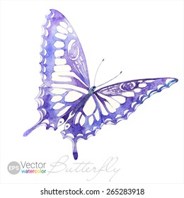 Vector Watercolor Swallowtail Butterfly