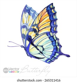 Vector Watercolor Swallowtail Butterfly